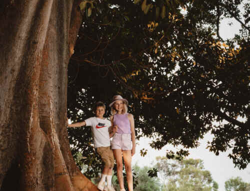 15min quick family photoshoot in Perth, Kings Park, Western Australia