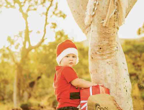 Christmas mini´s, in Tom Price, WA 2025