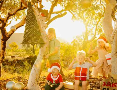 Christmas mini´s, in Tom Price, WA 2025